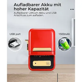 Niimbot B21 Schwarz