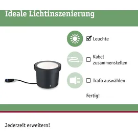 Paulmann Außenleuchte Metall 23,3 cm IP67 1 Stk. Anthrazit