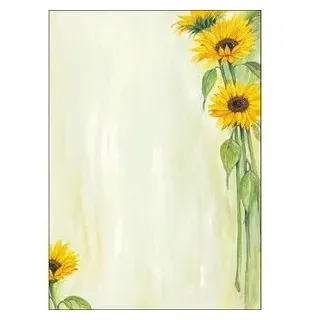 Sigel DP694, 25 Blatt