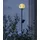 Dehner Solarleuchte Kunststoff/Metall Ø11/H130 cm 1er Set gold/transparent