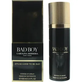 Carolina Herrera Bad Boy Eau de Toilette 100 ml