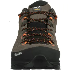 Salewa Alp Trainer 2 GTX Herren Bungee Cord/Black 46