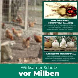 Silberkraft Milbenspray 2000 ml