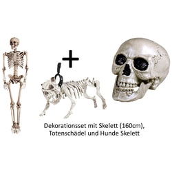 Scherzwelt Zauberer-Kostüm Großes Halloween Dekoration Set – Skelett Knochengerüst 160cm, Hundeskelett und Totenschädel