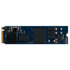 Kingston DC2000B Enterprise 960GB, PCIe 4.0 M.2 2280