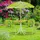 Relaxdays Camping Kindersitzgruppe, mit Schirm, grün