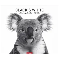 Weingarten Black & White Animals 2025