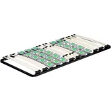 Lattenrost Tellerlattenrost Ergo IF55 - für alle Matratzen geeignet 100x200 cm