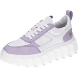Apple of Eden Schnürschuh BLAIR in WEIß LIGHT PURPLE | 38