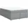 vidaXL Boxspringbett 160 x 200 cm Hellgrau