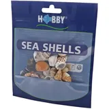Hobby Aquaristik Hobby 40221 Sea Shells Set, S