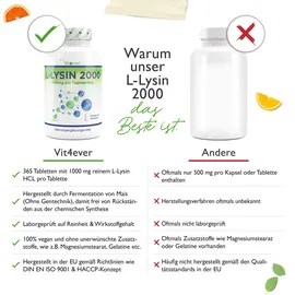 Vit4ever L-Lysin 2000 Tabletten 365 St.