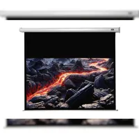 Celexon Motor Economy 160x90 16:9