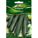 Quedlinburger Zucchini Leila Loses Saatgut