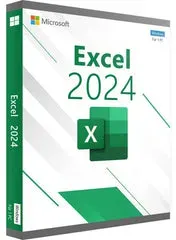 MICROSOFT EXCEL 2024