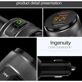 Radox CARPOINT 0517099 FM-Transmitter