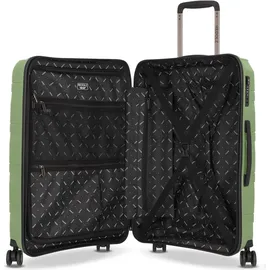 Redolz Essentials 10 Koffer-Set 3-tlg. grün/metallic