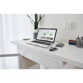 Seagate Basic 4 TB USB 3.0 Grau STJL4000400