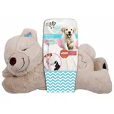 AFP Warm Bear