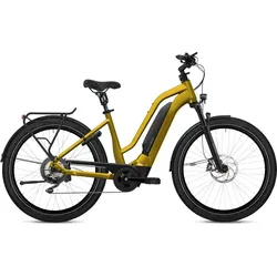 Flyer Upstreet3 7.10 Gold Modell 2023