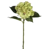 Mica decorations Mica Künstliche Hortensie Grün, 51 Cm Kunstpflanzen