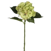 Mica decorations Mica Künstliche Hortensie Grün, 51 Cm Kunstpflanzen
