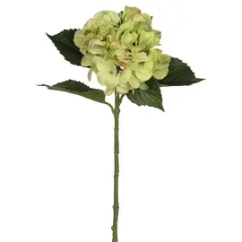 Mica decorations Mica Künstliche Hortensie Grün, 51 Cm Kunstpflanzen
