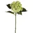 Mica decorations Mica Künstliche Hortensie Grün, 51 Cm Kunstpflanzen
