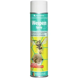 Hotrega Wespen Spray 600 ml Spraydose