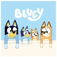 Bluey Gesichtstuch 30 x 30 cm blau