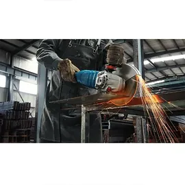 Bosch GWS 24-230 P Professional