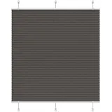 vidaXL Plissee 120 x 100 cm schwarz