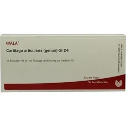 CARTILAGO articularis genus GL D 4 Ampullen 10 ml