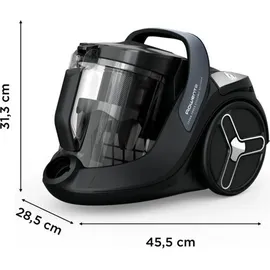 Rowenta Green Force Cyclonic Effitech RO7C36 grau