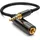 deleyCON Audio Klinken Adapter Kabel 3,5mm Stecker - 6,3mm Buchse 0,2m (keine MPNR)