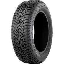 Cooper Winter EVR 165/70 R14 81T