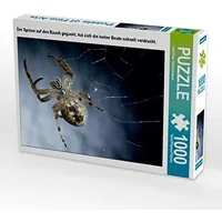 Calvendo Puzzle Der Spinne auf den Bauch geguckt, hat