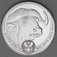 South African Mint 1 Unze Silber The Big Five