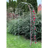 DanDiBo Ambiente Rosenbogen 120 x 0 x 0 cm Grau/Silber