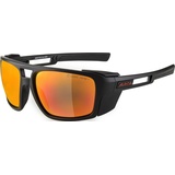 Alpina Skywalsh CM+ Brille schwarz 2021 Brillen