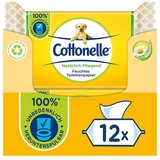 Cottonelle® Toilettenpapier Feuchtes Toilettenpapier Kamille & Aloe Vera 12x42 Feuchttücher (Vorratspackung 12 x 42 Tücher), Toilettentücher weiß