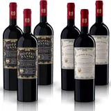 Doppio Passo Primitivo 3+3 Rotwein Probierpaket (6x0,75l)