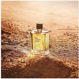 Hermès Terre d'Hermes Eau Intense Vetiver Eau de Parfum 50 ml