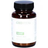 CBD Vital Hanf Gelenke Aktiv