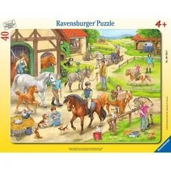 Auf dem Pferdehof