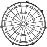 Kings Dart Dart-Spider, Cricket