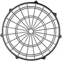 Kings Dart Dart-Spider, Cricket