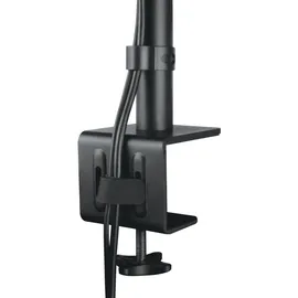 Arctic X1 Monitorarm - für Displays bis zu 43 Zoll 16:9 & 49 Zoll Ultrawide,