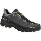 Salewa Herren Alp Trainer 2 GTX Schuhe (Größe 48.5, grau)