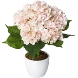 Creativ green Kunstpflanze Hortensie, im Keramiktopf rosa